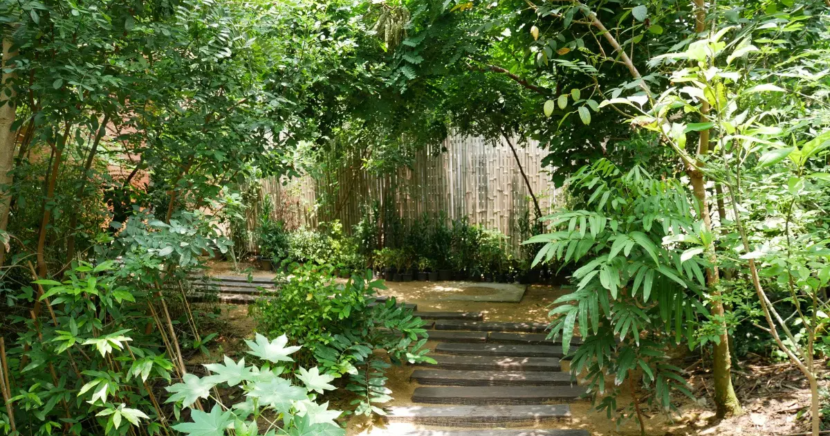 Projektowanie ogrodów na znakomitym poziomie – jak stworzyć zieloną przestrzeń, która zachwyca?